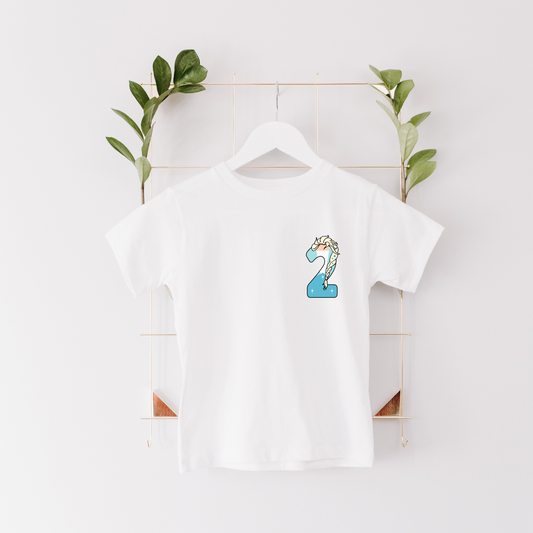 Princess Inspired Ice Queen Number Birthday T-shirt